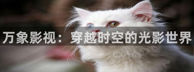 被窝电影影院：万象影视：穿越时空的光影世界