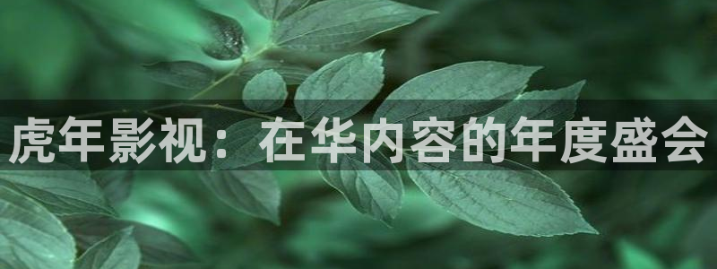 被窝在线电影：虎年影视：在华内容的年度盛会