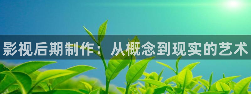 被窝伦理午夜电影：影视后期制作：从概念到现实的艺术