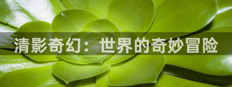 被窝神马电影网：清影奇幻：世界的奇妙冒险